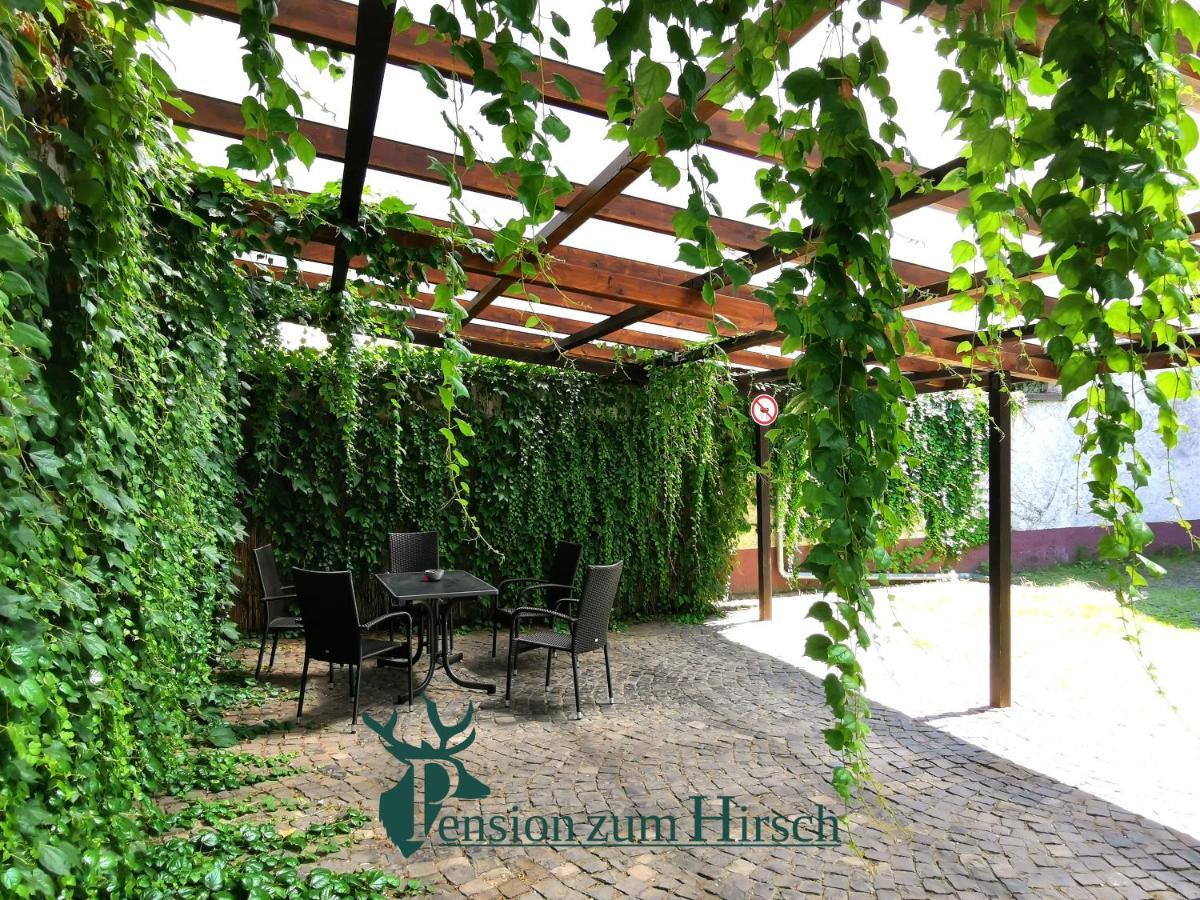 Hotel-Pension Zum Hirsch Хаттерсхайм Экстерьер фото